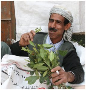 Qat or khat, the Somali mild narcotic of choice, has also flooded Kenya in recent years and is being re-exported from East Africa to Somali communities and others in Europe. 