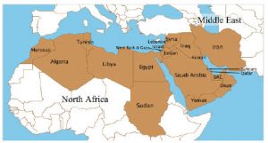 The MENA region, shown in brown, has been in a period of unforeseen turmoil and transition. 