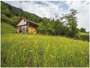 Slovenia is home to hundreds of beekeepers — there's one beekeeper for every 200 Slovenian citizens. The Slovenian government has successfully lobbied the United Nations to declare a World Bee Day, which will happen on May 20. (Photo: Jošt Gantar, 2017)