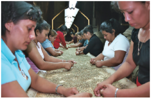 El Salvador is ranked by the World Bank as the second-best country in Central America in which to do business. Coffee is one of its main exports to Canada — a green bean processing plant is shown here.  (Photo: The cockroach)