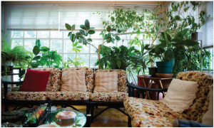 The casually decorated sunroom is now a smoking room to which the ambassador's husband retires with company to try a variety of Cuba’s best Havanas. (Photo: Ashley Fraser)