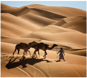 United Arab Emirates boasts the planet’s largest uninterrupted sand desert.  (Photo: Embassy of UAE)