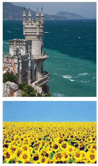 Lastivchyne Hnizdo, which looks like a medieval castle, is a tourist attraction which was actually built in the early 1900s. Meanwhile, agricultural products, such as sunflowers, are a driving force in Ukraine’s economy. 