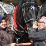 The Canadian Federation of University Women’s diplomatic hospitality group hosted a visit to Stanley’s Maple Farm. From left, Siti Hazura Mohd Ghaus and Azidah Puteri Buang (both from Malaysia) with the horses who transported guests through the grounds. (Photo: Ulle Baum)
