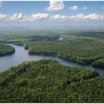 The section of the boreal forest that sits over the tar sands region of Alberta is part of the forest fragmented by oil development.