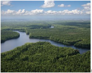 The section of the boreal forest that sits over the tar sands region of Alberta is part of the forest fragmented by oil development. 