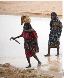 Sudanese women venture out of an IDP camp to collect firewood. They fear being raped when they leave home so they’re escorted by South African peacekeepers.