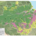 This map shows the scale and location of Amazonia deforestation, and the collateral damage in lost biodiversity. Belém (marked by a red dot) is located in the northeast.
