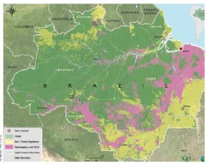 This map shows the scale and location of Amazonia deforestation, and the collateral damage in lost biodiversity. Belém (marked by a red dot) is located in the northeast.