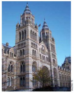 The Natural History Museum in London is part exhibition space, part research facility and houses some artifacts collected by Charles Darwin. 