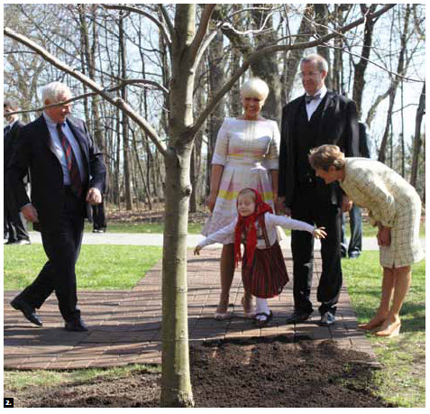 Lucy Turk curtsies at a tree-planting ceremony at the Rideau Hall hosted by Gov. Gen. David Johnston and his wife, Sharon, during the visit of Estonian President Toomas Hendrik Ilves and his wife, Evelin. (Photo: Ulle Baum)