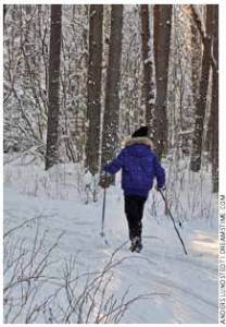 Cross-country skiing is a popular sport in Sweden. The average life expectancy of Swedes is 81.9 years. 