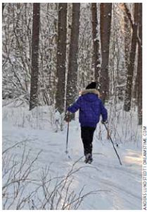 Cross-country skiing is a popular sport in Sweden. The average life expectancy of Swedes is 81.9 years.