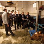 Johannes Hahn, European Union commissioner for regional policy, and EU officials, visit a farm in northern Iceland.