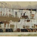 Horse feedlot in Alberta where thousands of horses are held before slaughter for their meat. Canadian abattoirs killed 82,000 horses in 2012.