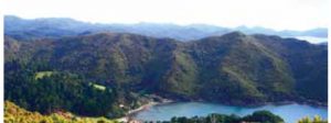 Great Barrier Island is a quiet retreat from modern life.