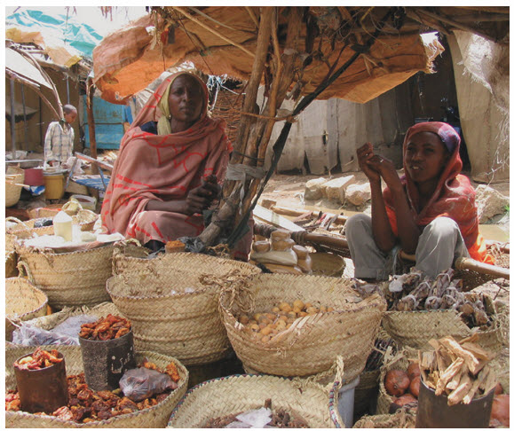 Sudan 2008: A mother and daughter selling their wares at a simple street  market in Dilling