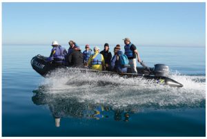 A group of Adventure Canada travellers zip along the coast of Sable Island to make a landing in June.