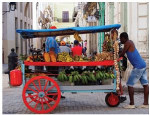 Cuba is home to many varieties of tropical fruit, often sold by vendors such as these, in the streets of Havana. 