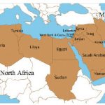 The MENA region, shown in brown, has been in a period of unforeseen turmoil and transition.