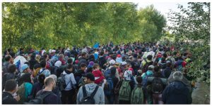 Refugees by the hundreds make their way to a Hungarian registration centre by the Serbian border. The challenge in dealing with this crisis runs deeper than how to manage it. It is also a question of vision and values. (Photo: © UNHCR/Mark Henley)