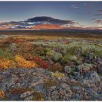 The national park at Thingvellir is at its most colourful in the autumn. (Photo: Ragnar Th. Sigurdsson)