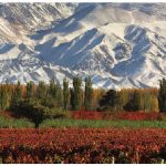 Argentina has a vibrant wine industry, whose Malbec grape, grown here, is already well known to Canadians. (Photo: Argentine Tourism Agency)