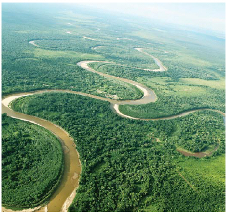The Amazonian Rainforest runs through nine countries. Bolivia is one of them. (Photo: Bolivian ministry of tourism)