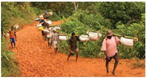 Madagascar produces 75 per cent of the world’s vanilla. Here, harvesters are transporting it through the jungle. (Photo: :© Paweł Opaska | Dreamstime.com)