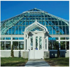 The Central Experimental Farm's heritage greenhouse is home to many exotic tropical plants. (Photo: Canadian Agricultural museum)