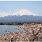 Enjoying cherry blossoms is a springtime rite of passage in Japan; they are shown against the country's iconic Mount Fuji. (Photo: ©Akira Okada©JNTO)