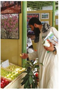 Afghanistan's main exports to Canada include fruit and nuts. (Photo: U.S. State Department)