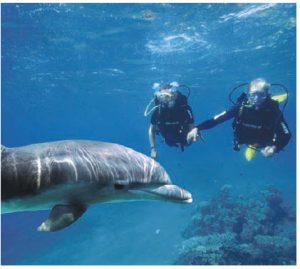 Eilat is a resort town at the very southern tip of Israel. Shown here is Dolphin Reef.  (Photo: TONY MALKEVIST )