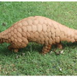Even the lowly and secretive pangolin is being hunted ceaselessly in Africa to satisfy Asian demand. (Photo: © Positive Snapshot | Dreamstime.com)