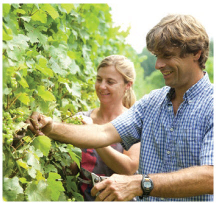 Michael Marler and Véronique Hupin, of Les Pervenches, work the vines at their winery.  (Photo: les pervenches)