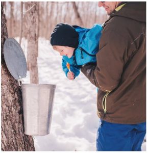 Maple syrup — and visiting the bushes where it’s made —  is a quintessential central Canadian experience and it’s a COVID restriction-friendly outdoor activity. (Photo: Elizabeth Fulton Photography)