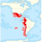 As shown on the map, the Pacific Alliance stretches down the West Coast of North and South America. Its total area is 13,729, 753 square kilometres. (Photo: Warko)