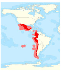 As shown on the map, the Pacific Alliance stretches down the West Coast of North and South America. Its total  area is 13,729, 753 square kilometres. (Photo: Warko)
