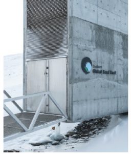 Preparing for disaster 8 The Svalbard Vault was carved out of the solid rock of a permafrost mountain in Norway. (Photo: crop trust)