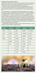 Preparing for disaster 10 DIPLOMAT 2020 08 01 0065