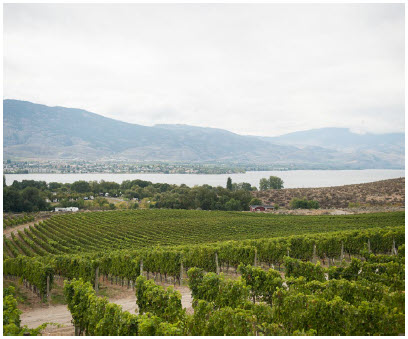 The inherent white privilege in the wine industry 1 Nk'Mip Cellars, North America's first Aboriginal-owned and operated winery, is located on the traditional territory of the Osoyoos Indian Band. Below, Justin Hall is a winemaker and member of the Osoyoos Indian Band. (Photo: Nk'mip Cellars)