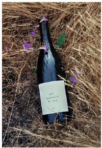 The inherent white privilege in the wine industry 5 (Photo: Ryan Grifone)