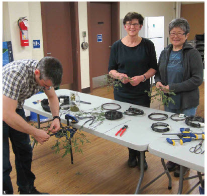 Members of the Ottawa Bonsai Society prepare for a virtual bonsai show at the Japanese Embassy. (Photo: Ottawa Bonsai Society)