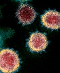 DIPLOMAT 2021 01 20 0051