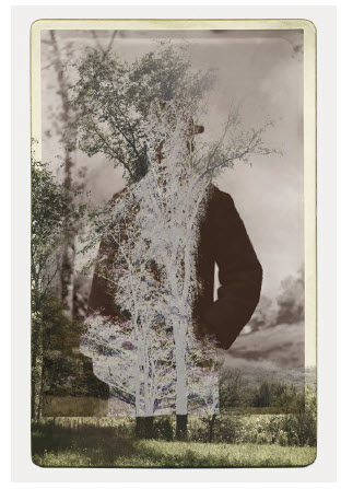 Pandemic art can be a salve in troubled times 10 Man Elm by Sara Angelucci, at the School of Photographic Arts Ottawa.