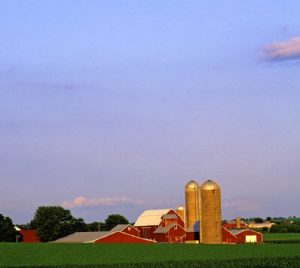 Food trade: Who’s buying, who’s selling 2 The U.S. is the largest exporter of food on the planet. American farms contributed about 0.6 per cent to overall gross domestic product in 2019, while direct on-farm employment accounted for 1.3 per cent of U.S. employment. This farm is in Illinois. (Photo: © Gerald D. Tang | Dreamstime.com)