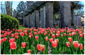 Springing into travel mode 1 Espace pour la vie in Montreal is home to earthly and celestial delights, including Le Jardin botanique, which has more than 20 outdoor gardens. (Photo: Espace pour la vie)