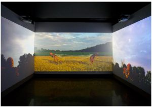 Portraits of Canada 3 Esmaa Mohamoud’s exhibition To Play in the Face of Certain Defeat “focusses on the sports world’s suppression of identity,” at the Ottawa Art Gallery. (Photo: Museum London)