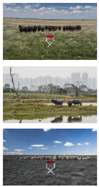 Cows in Canada are joined by their sisters and cousins from Hong Kong and Turkey through a chair. Through culture, people and nature, Take Your Seat’s mission of One People. One Planet. One Life showcases the common ground we all are privileged to share.