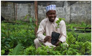 Rural Zanzibar’s climate change lessons for the world 1 Mbarouk Mussa Omar, executive director of Community Forests Pemba, visits a community-owned-and-operated tree nursery. (Photo: Zach Melanson for Community Forests International)